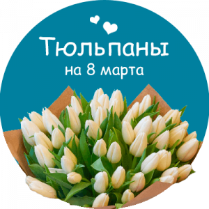 Купить тюльпаны в Сольцах